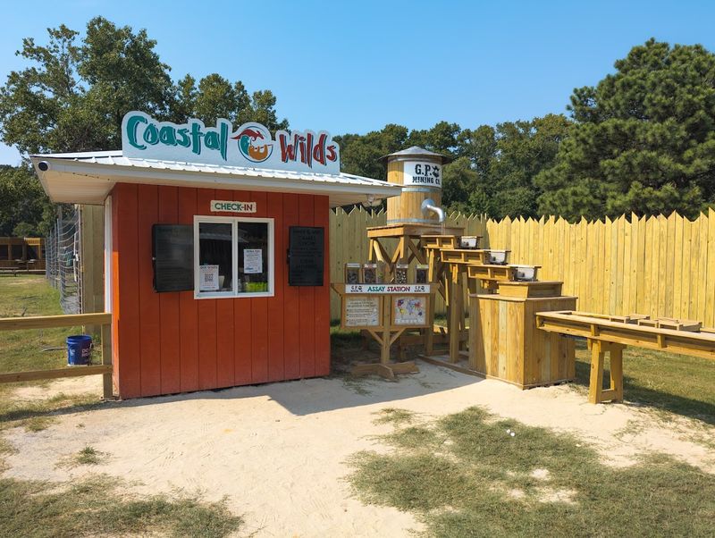 Why Coastal Wilds Feels So Different From A Zoo