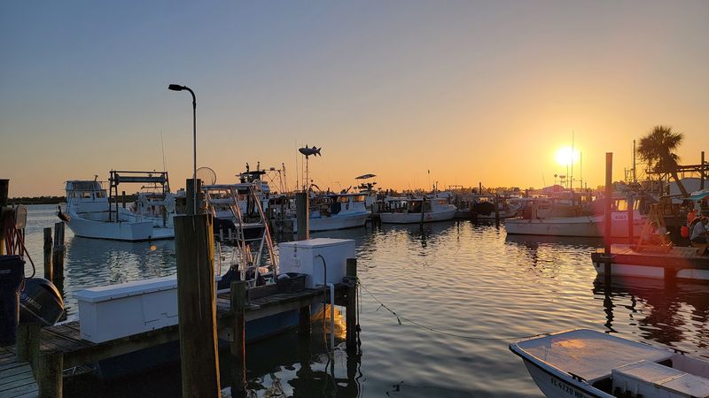 Gulf Views That Elevate The Meal