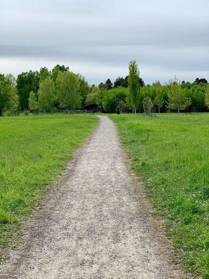 How A Practical Safety Law Turned Into A Weirdly Memorable Travel Detail