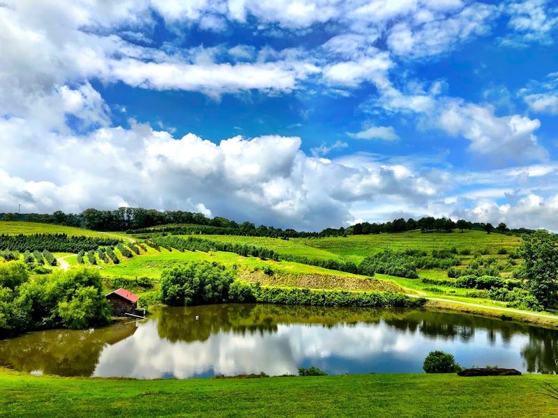 Why Blue Ridge Travelers Build A Visit Around It