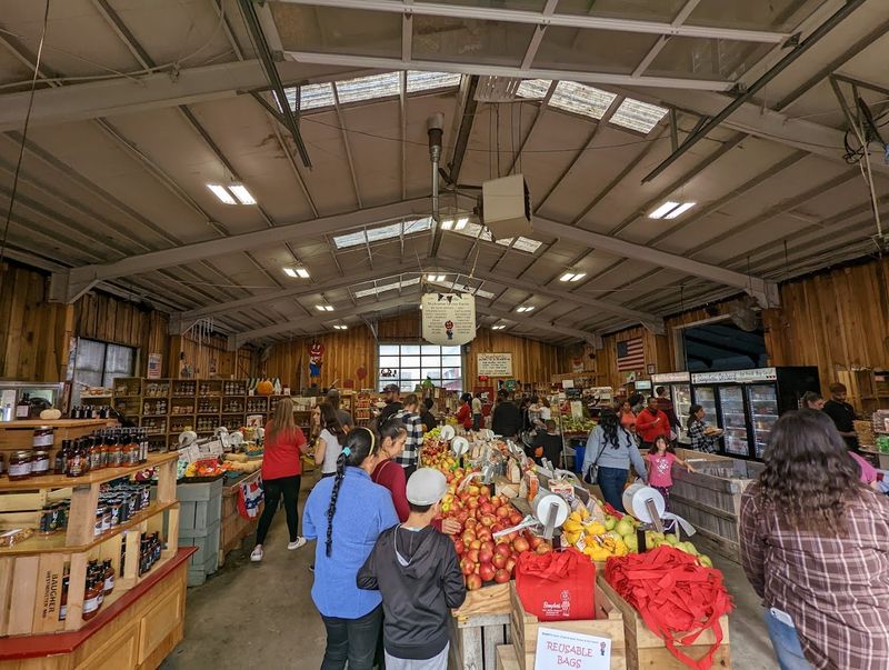 Why One Bag Rarely Stays Alone For Long