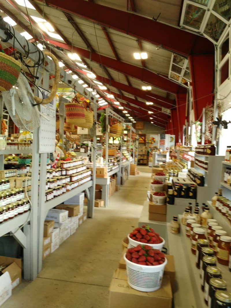 Why The Sheds Keep Pulling You A Little Farther