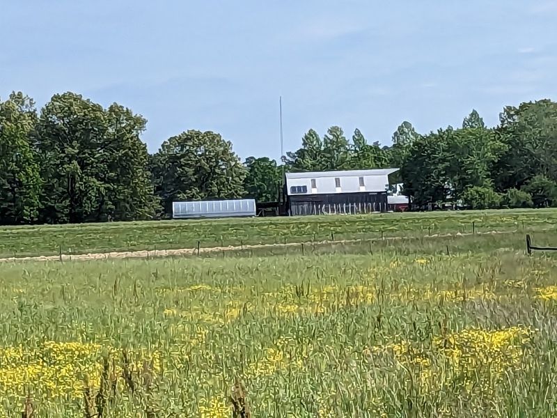 Why Seeing Shops Along The Route Adds More Fun