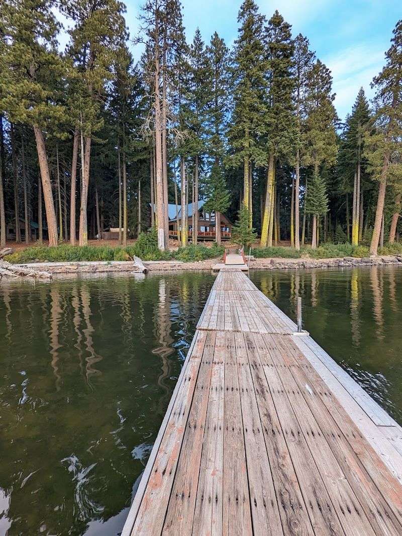 Cabin Rentals That Feel Like a True Escape