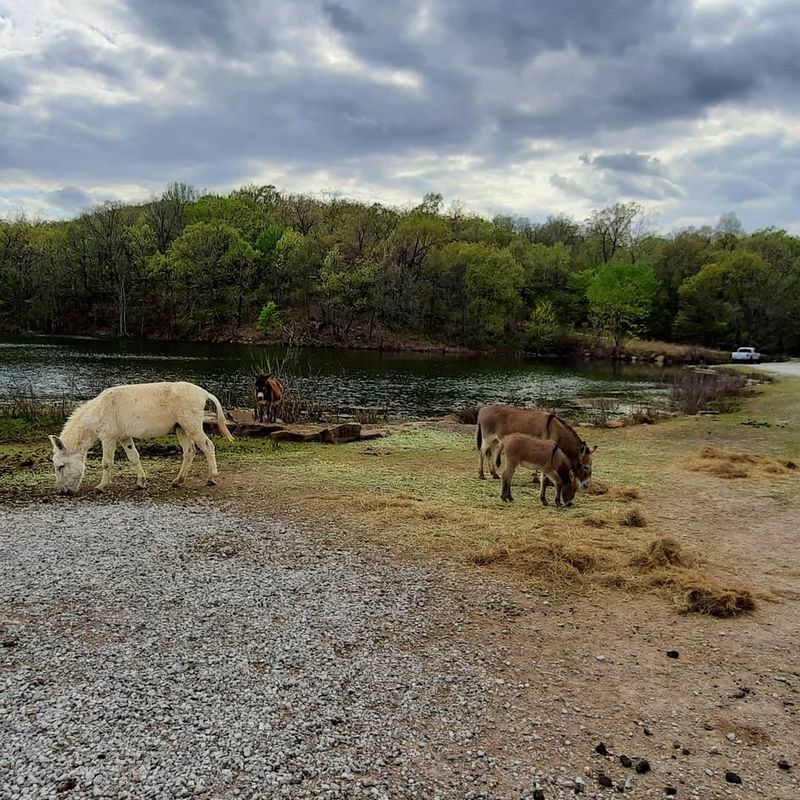 Wildlife and Local Flora Make Every Walk Interesting