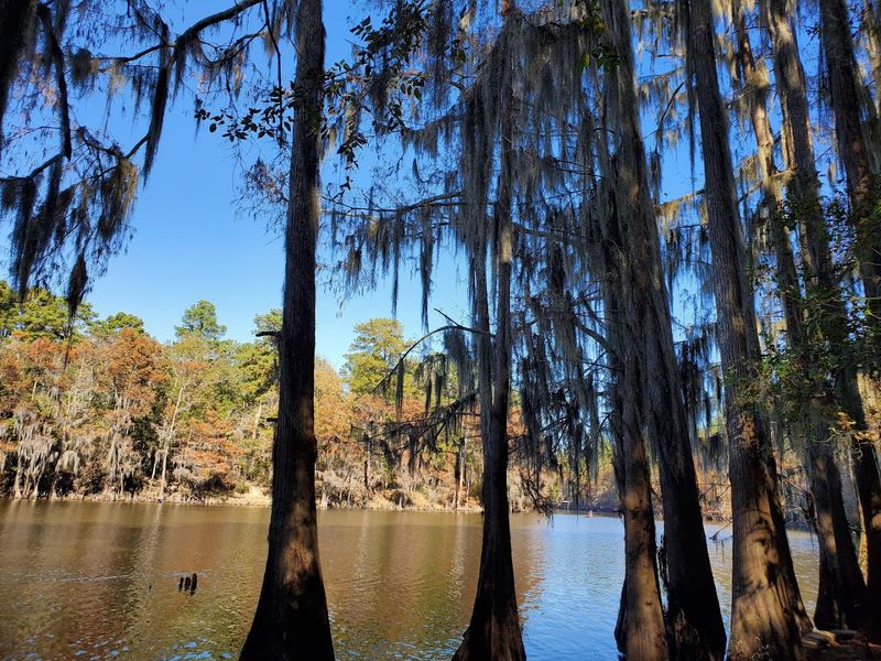 Big Cypress Bayou and Its Connection to Caddo Lake
