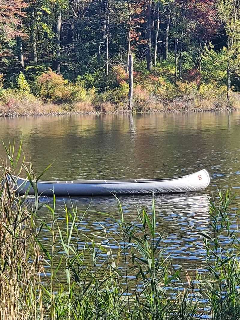 Archery, Canoeing, and Camp Activities That Feel Iconic