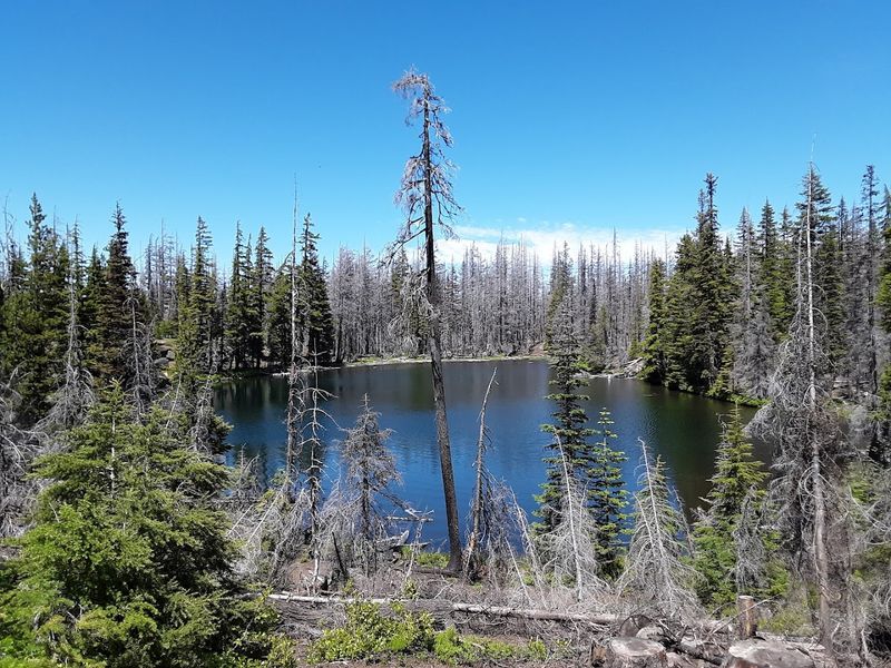 Getting Around the Ranch by Bike