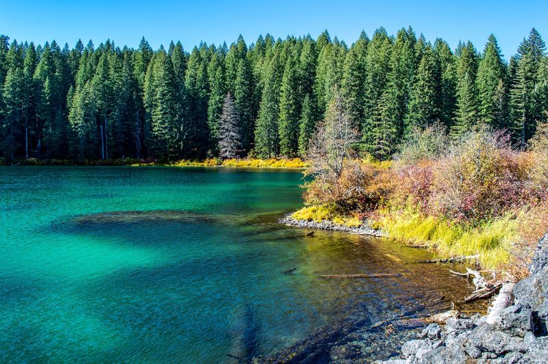 Practical Tips for Planning Your Visit to Clear Lake