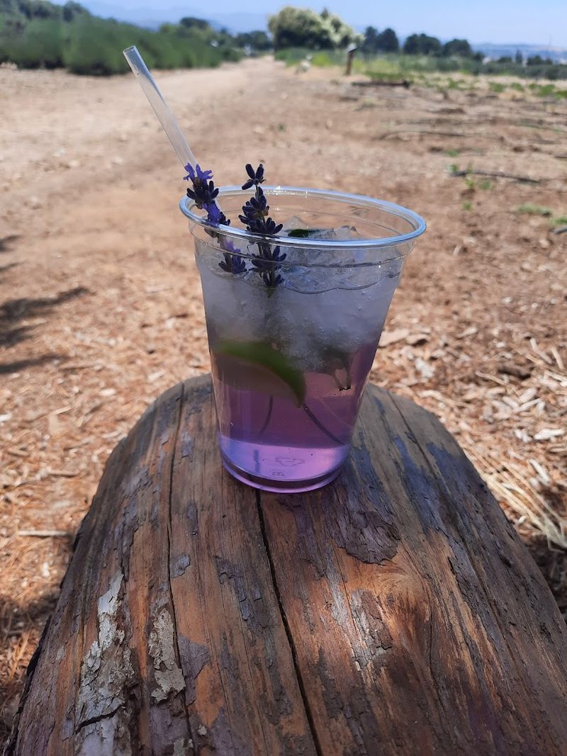 Why This Stop Feels More Like A Mini Escape