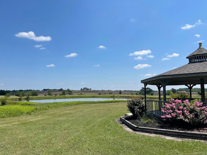 The Pond and Gazebo Offer a Genuinely Peaceful Pause