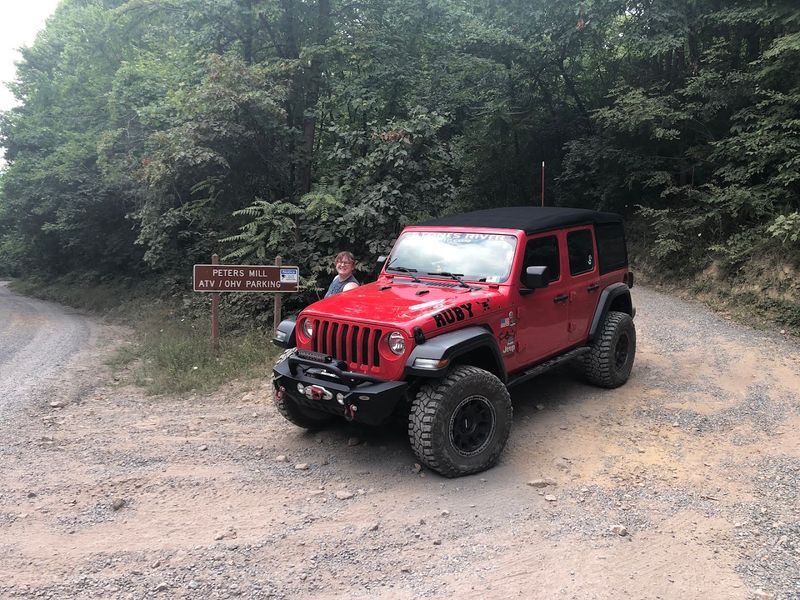 Planning Your Visit: Practical Tips for the Best Possible Day Out