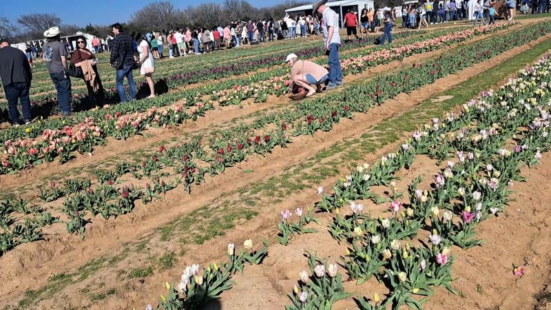 Practical Things to Know Before You Go