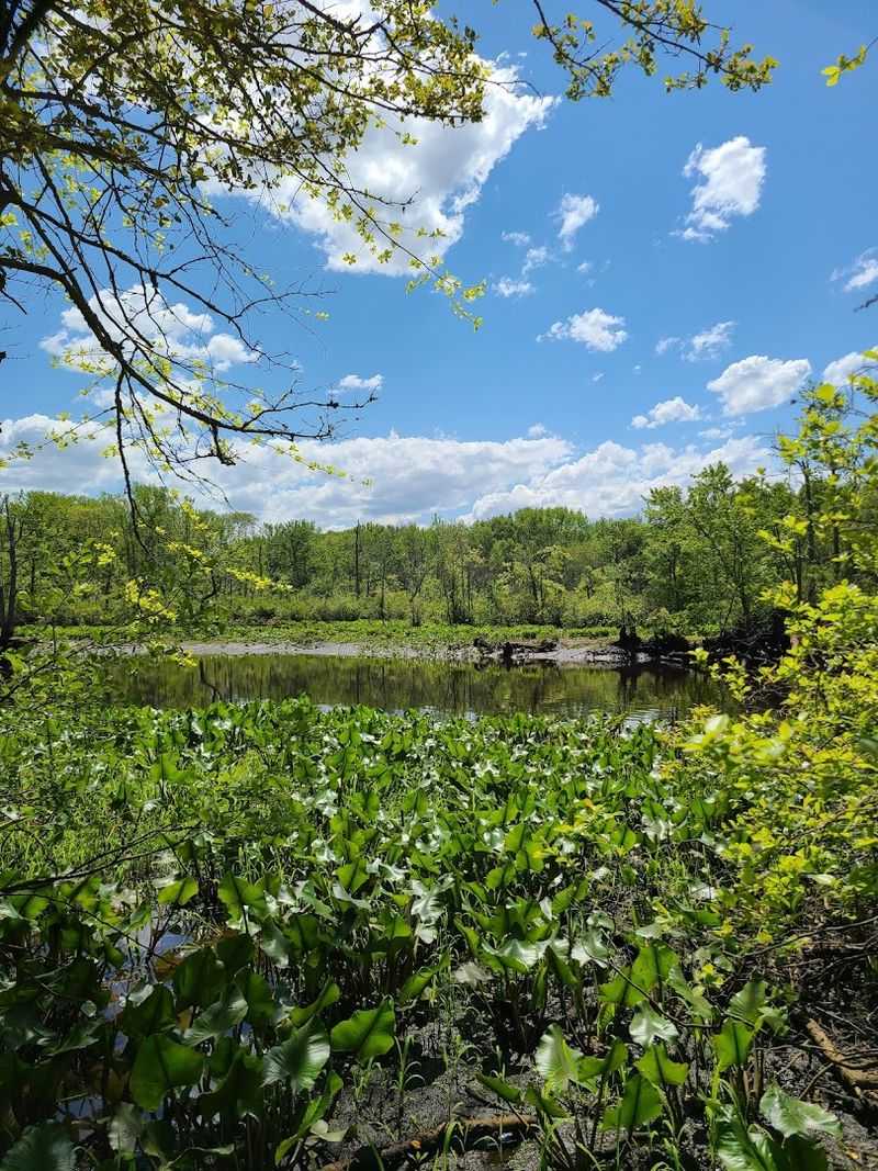 210 Acres of Pure Outdoor Exploration