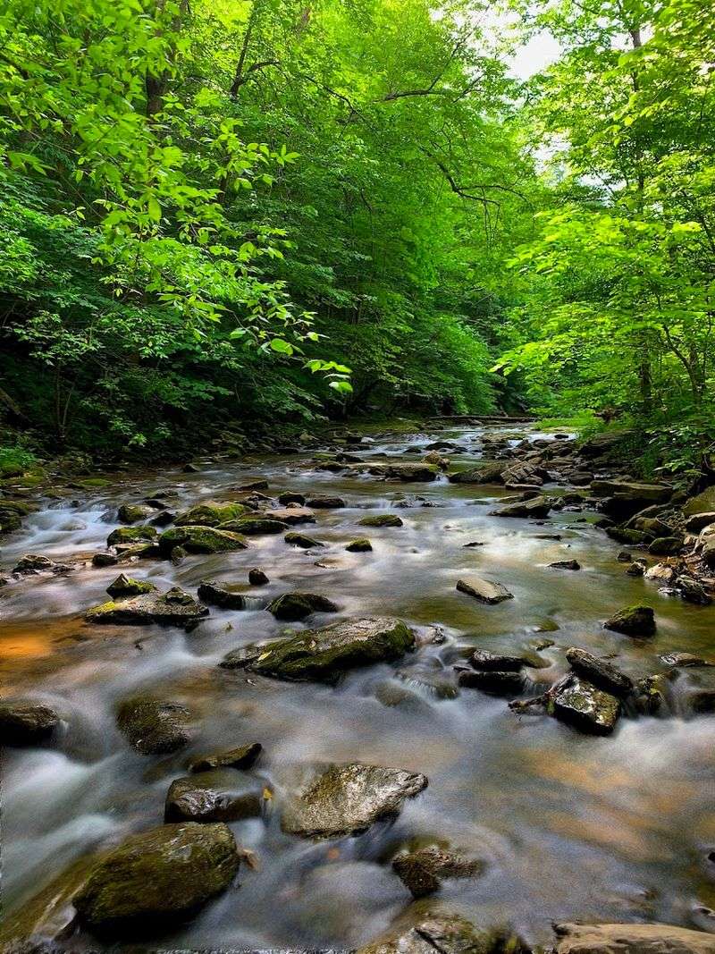 Cedar Creek Trail: The Path That Rewards Every Step