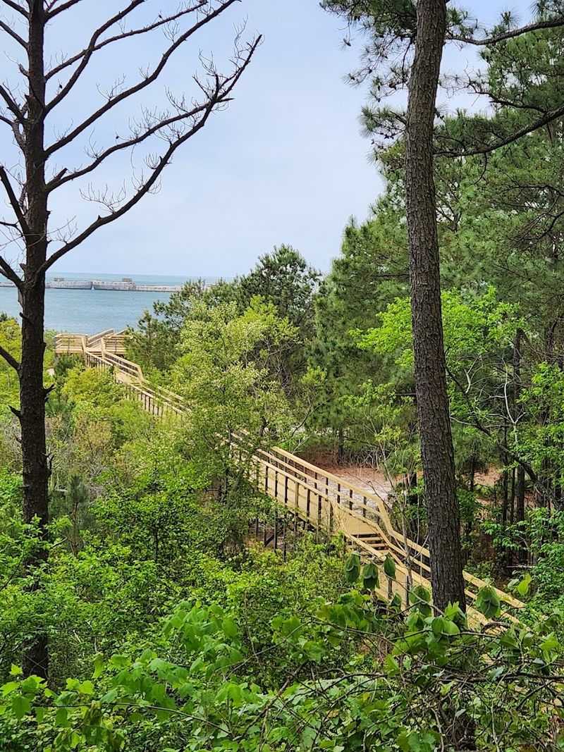 Hiking Trails Through Maritime Forest and Coastal Scrub