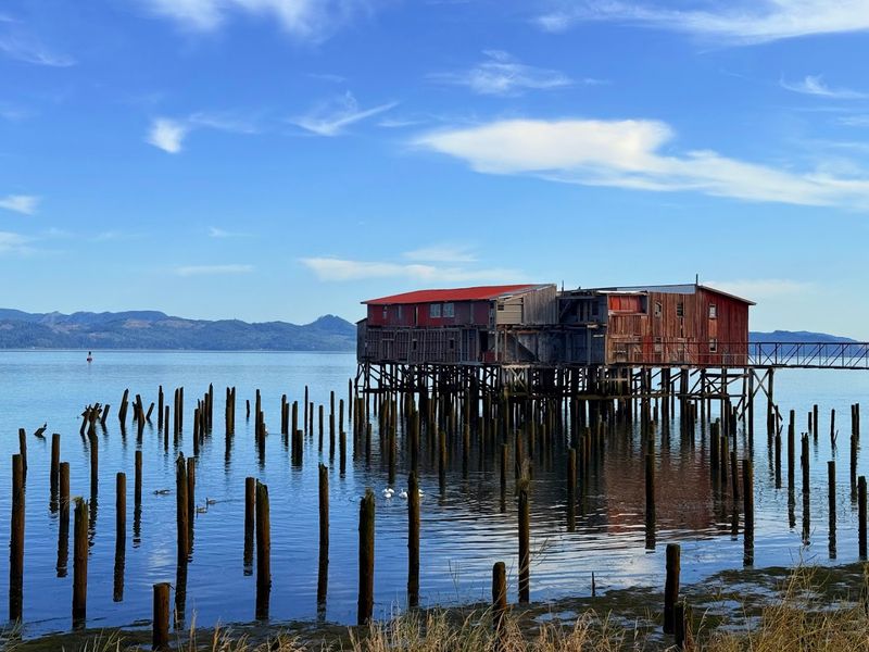 Historic Piers and Fishing Launches: A Working Waterfront