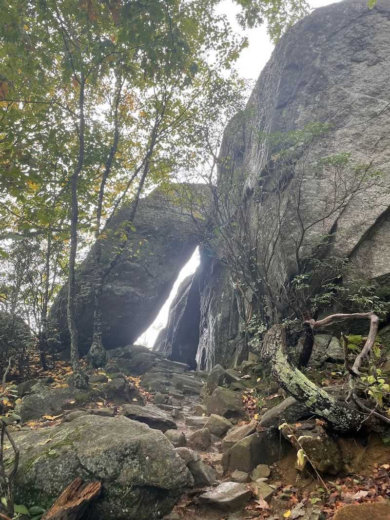Why Old Rag Mountain Belongs on Every Virginia Bucket List