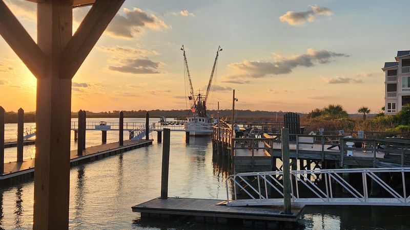 Dockside Energy You Notice Before The Food Even Lands