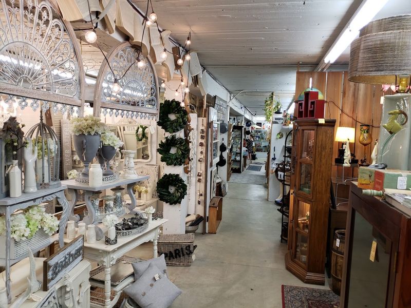 Why Phog Bounders Keeps Pulling People Back