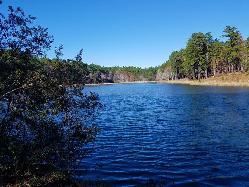 Neches River Views Along the Way