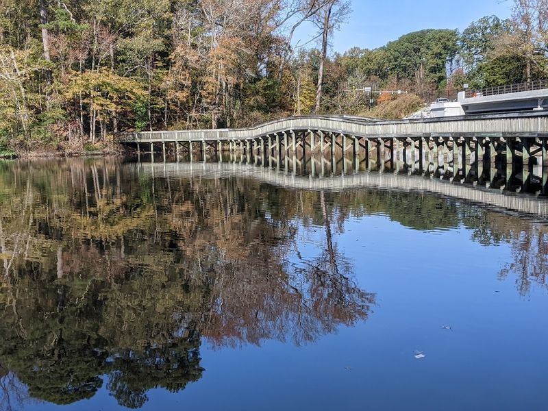 Bridges Galore: Crossing the Waters in Style