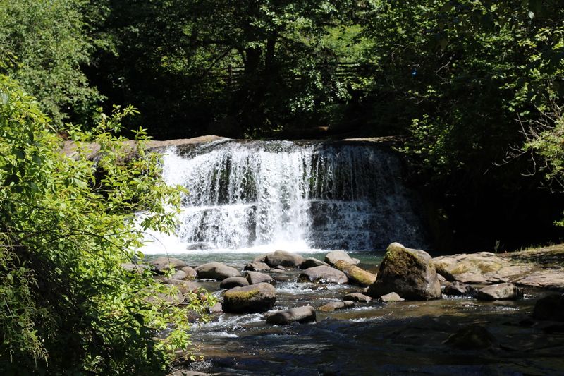 Best Time to Visit: When the Falls Are at Their Most Dramatic