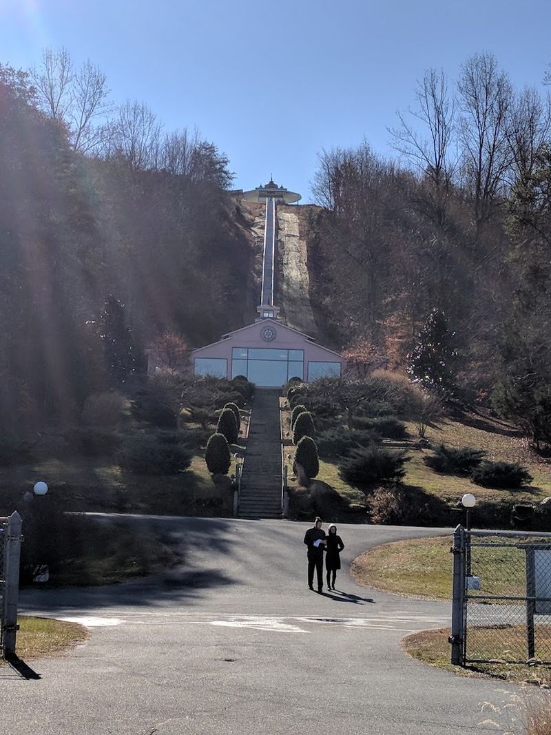 Driving on the Left: A Quirky Ritual Before You Enter