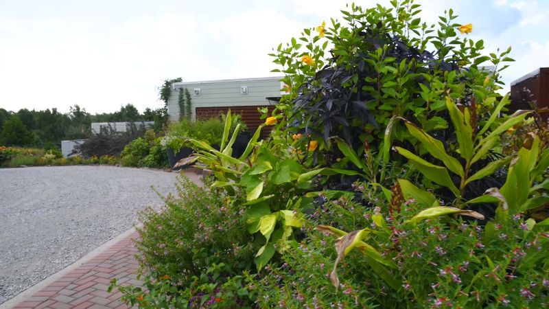 The Prairie Trail Connects You to Oklahoma's Natural Roots