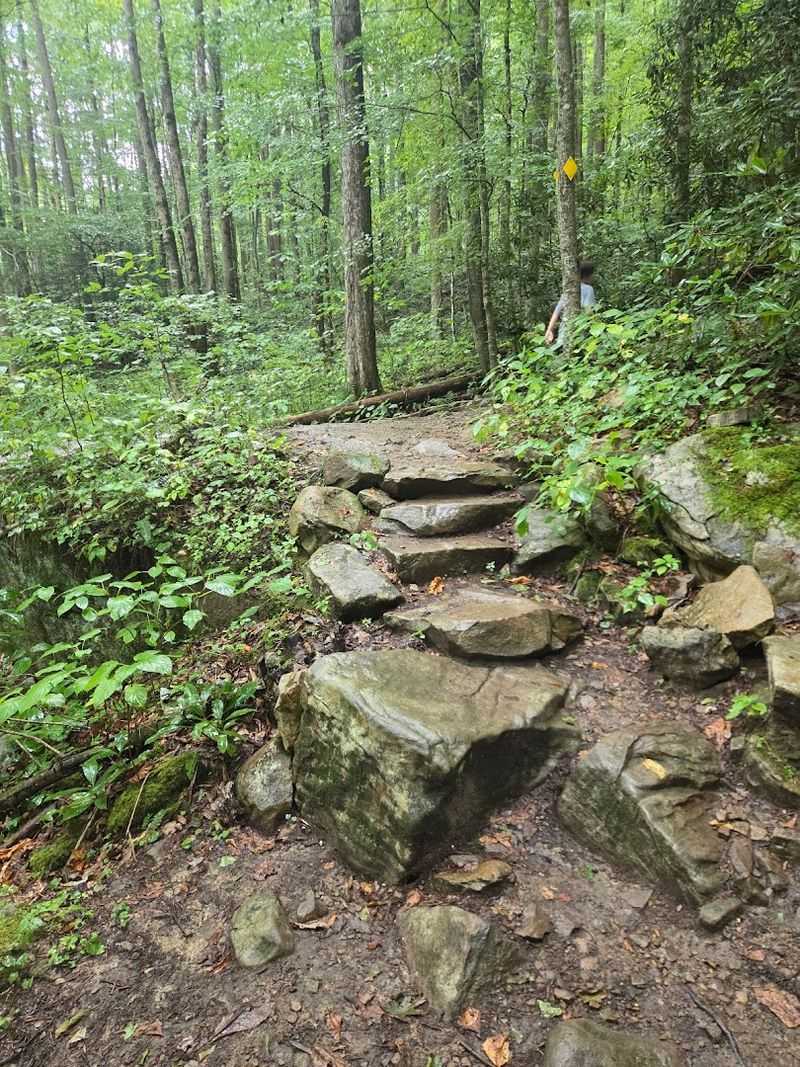 What the Trail Actually Looks Like