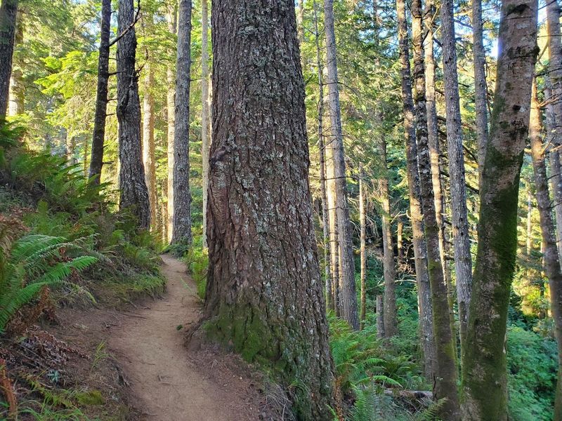The Coastal Trail Hike to the Right