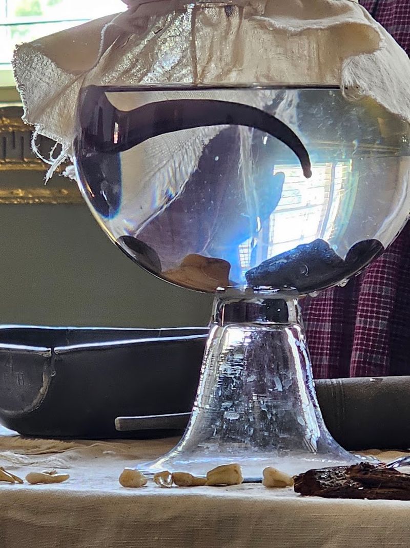 Bloodletting, Leeches, And The Wildly Uncomfortable Truth About Colonial Cures