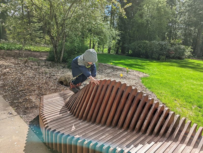 Seasonal Events and Community Programs