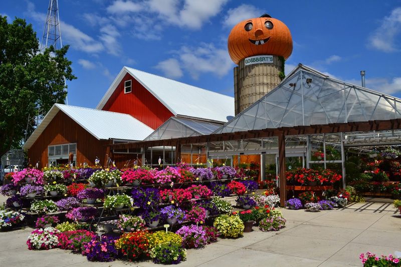 The Spring Garden Center Season That Makes Locals Start Counting Days