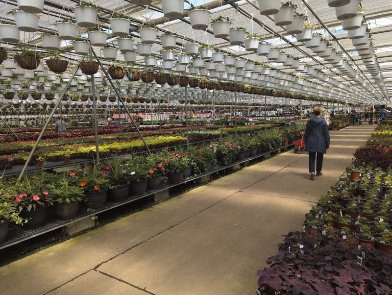 A Greenhouse So Big It Needs Its Own Zip Code