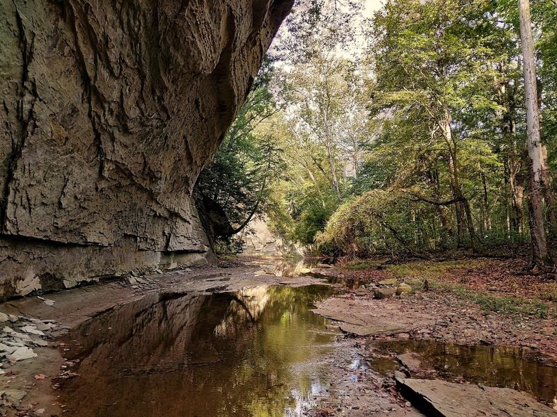 The Trail System at Pine Hills Feels Like a World Apart From Indiana's Flatlands