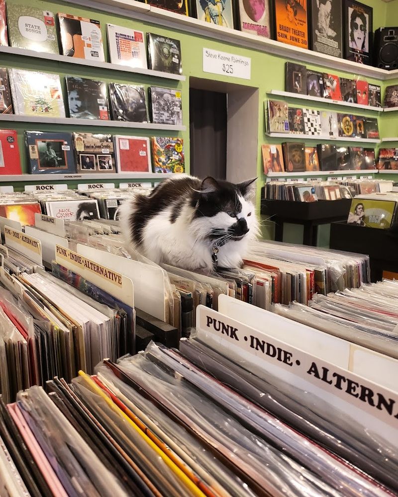 A Collection So Big It Deserves Its Own Zip Code