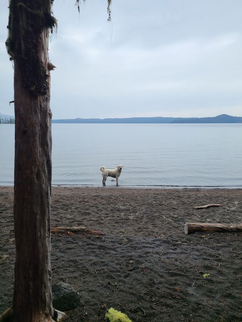 Three Campgrounds, Each With Its Own Personality