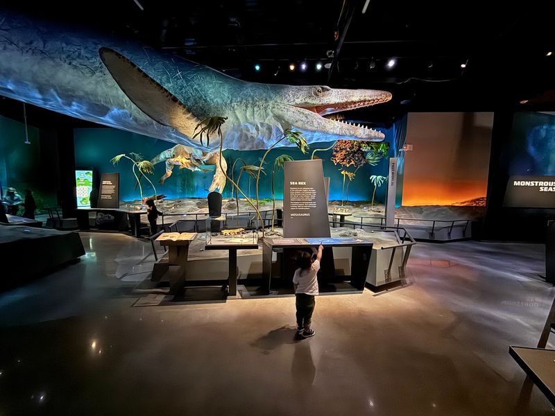 Immersive Exhibits: Full-Sized Reconstructions That Stop You Cold