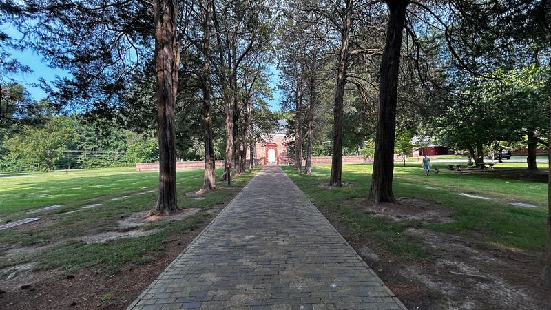 The Historic Cemetery and the Row of Goodly Cedars