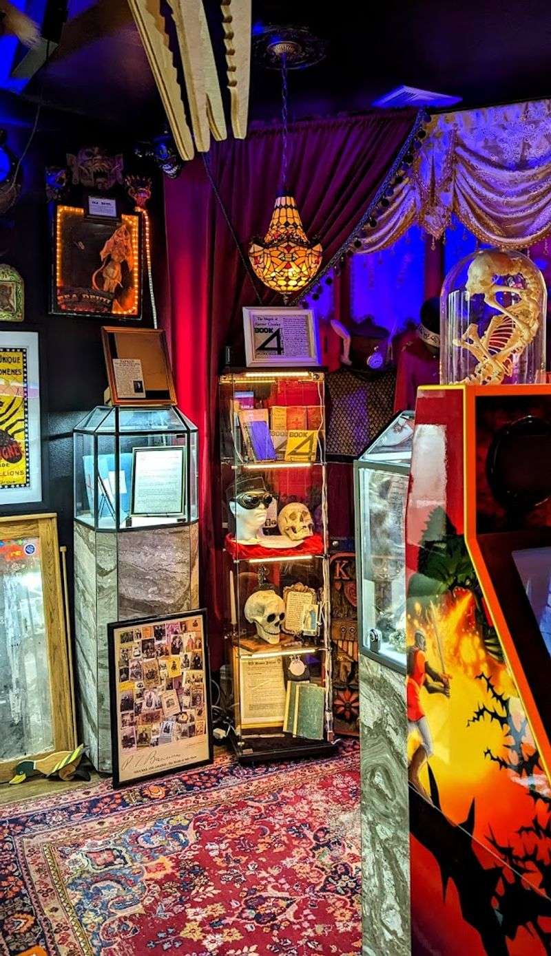 Oddities From Around the World Obscura