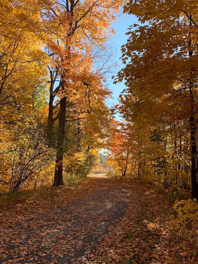 Every Season Brings a Completely Different Side of the Bog