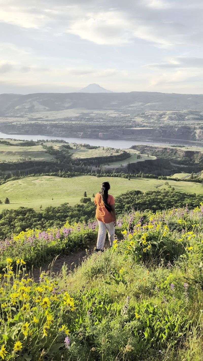 Making The Most Of Your Visit To Tom McCall Point