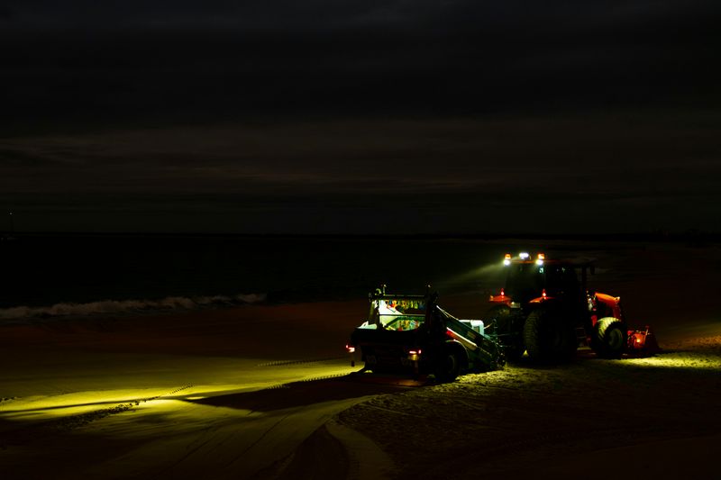 How One Wildlife Law Changes The Beach After Dark