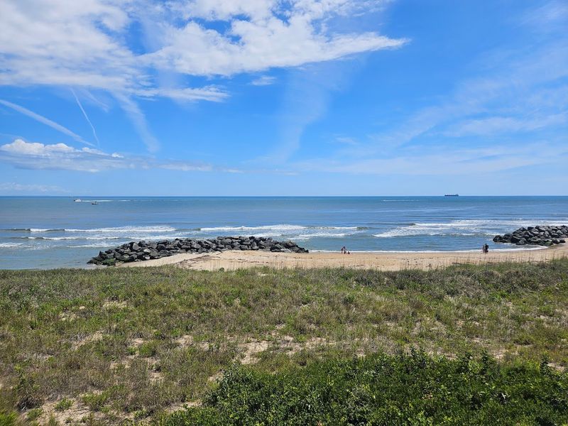 A Gift Shop and Boardwalk Worth Exploring