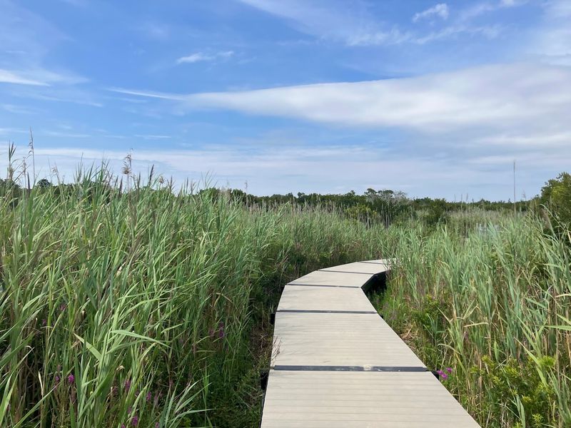 A Preserve Born From History and Resilience