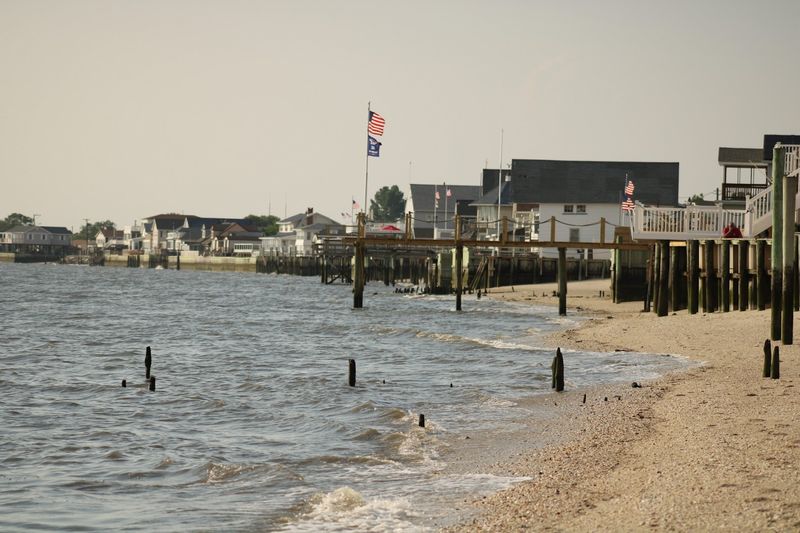Where the Driftwood Tells Its Own Story