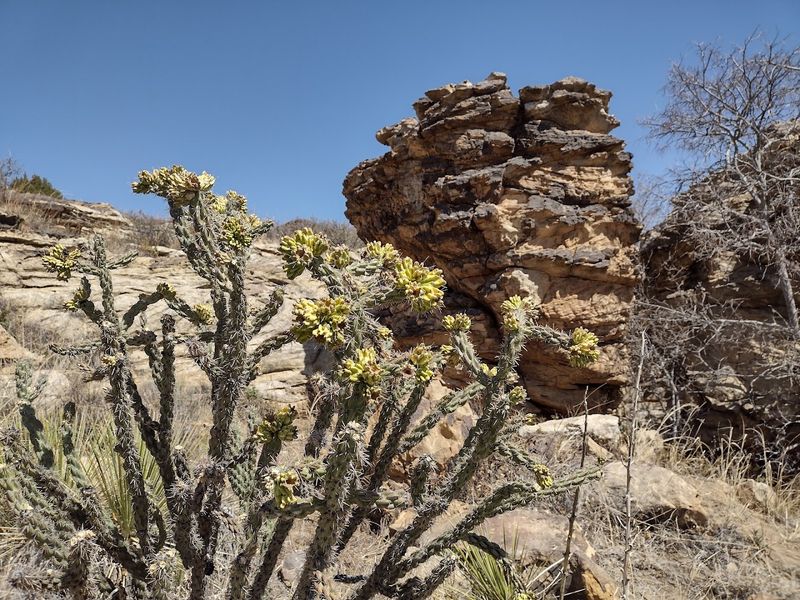 The Landscape Around the Lake Is Straight-Up Cinematic