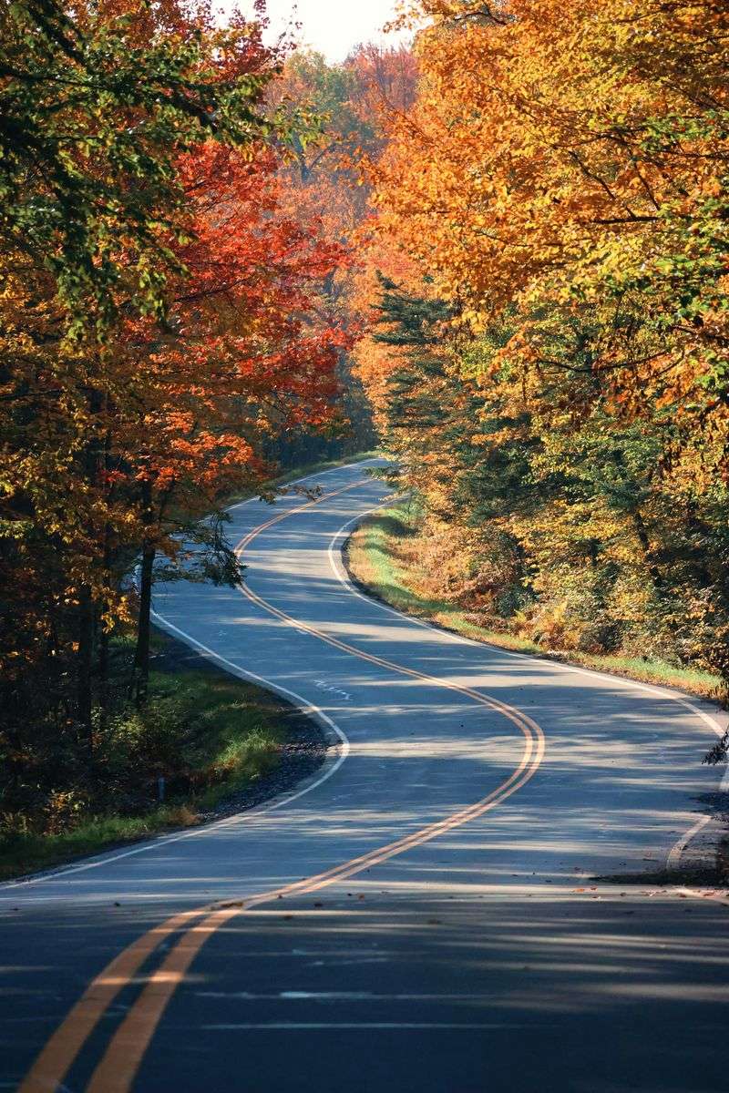 What The Law Actually Bans: Outdoor Advertising Visible To Travelers