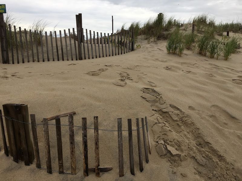 A Ghostly Pier Site That Still Feels Hard To Shake